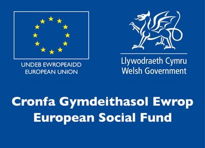 european social fund