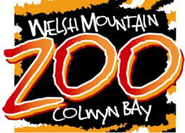 welsh mountain zoo