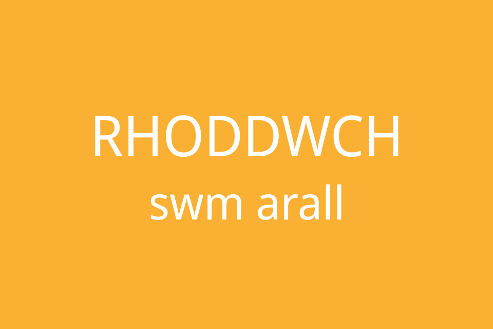 Arall - ychwanegwch y swm yr hoffech ei roi