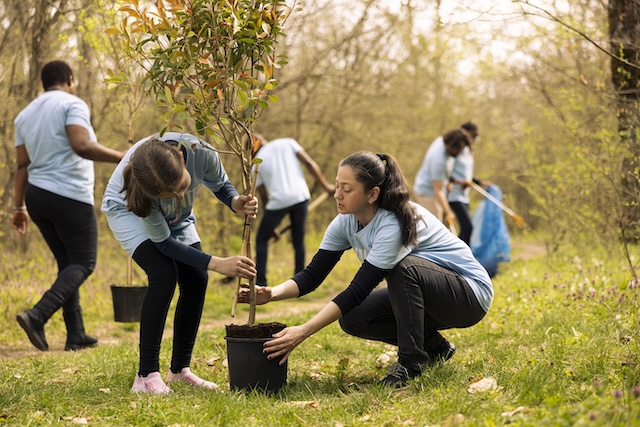 Mother and daughter preparing to plant a tree in the woods, volunteering to help with nature conservation and reforestation.